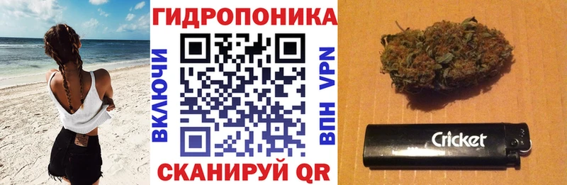 купить наркотик  Оха  Шишки марихуана индика 